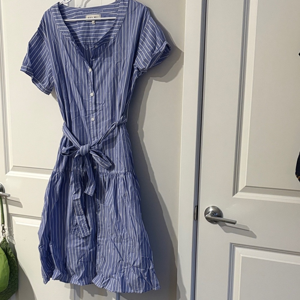 Alex Mill Blue Striped Midi Dress with Tie Waist